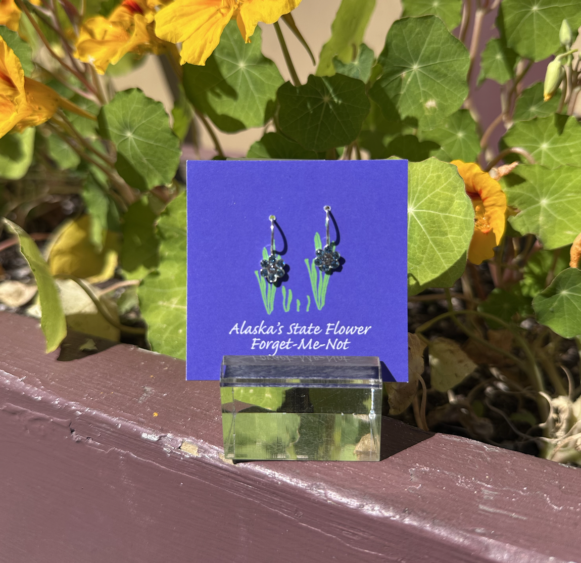 Forget-me-not Alaska State Flower Dangly Earrings - Small - Image 3