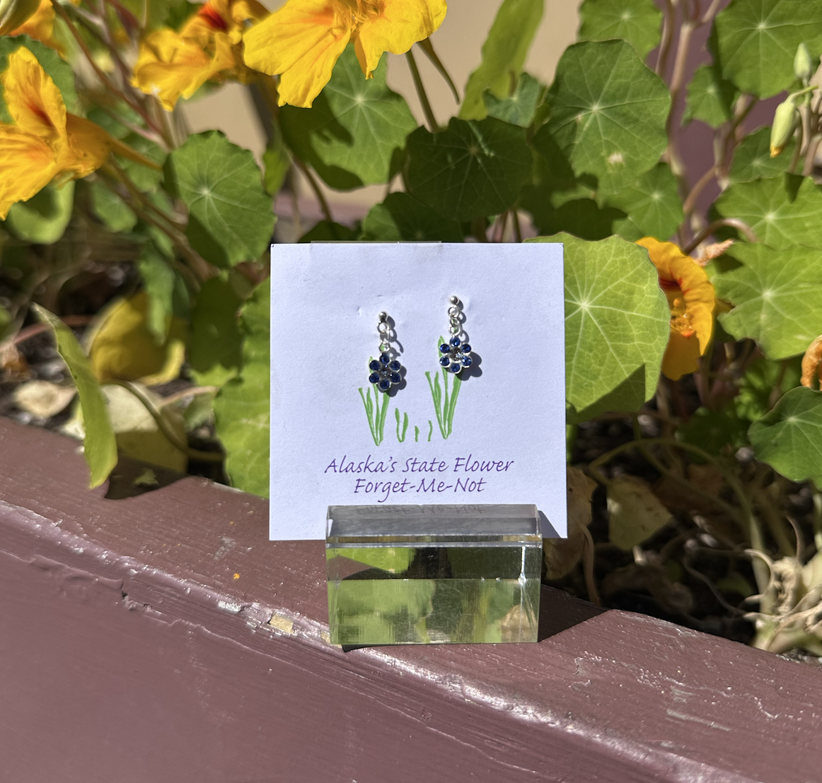 Forget-me-not Alaska State Flower Chain Dangly Earrings