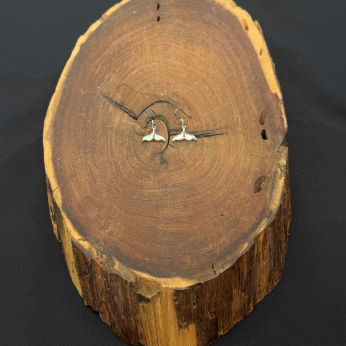 White Opal Whale Tail Earrings - Medium